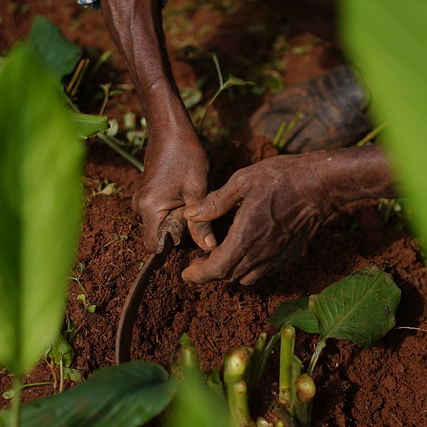 Shop hair care products